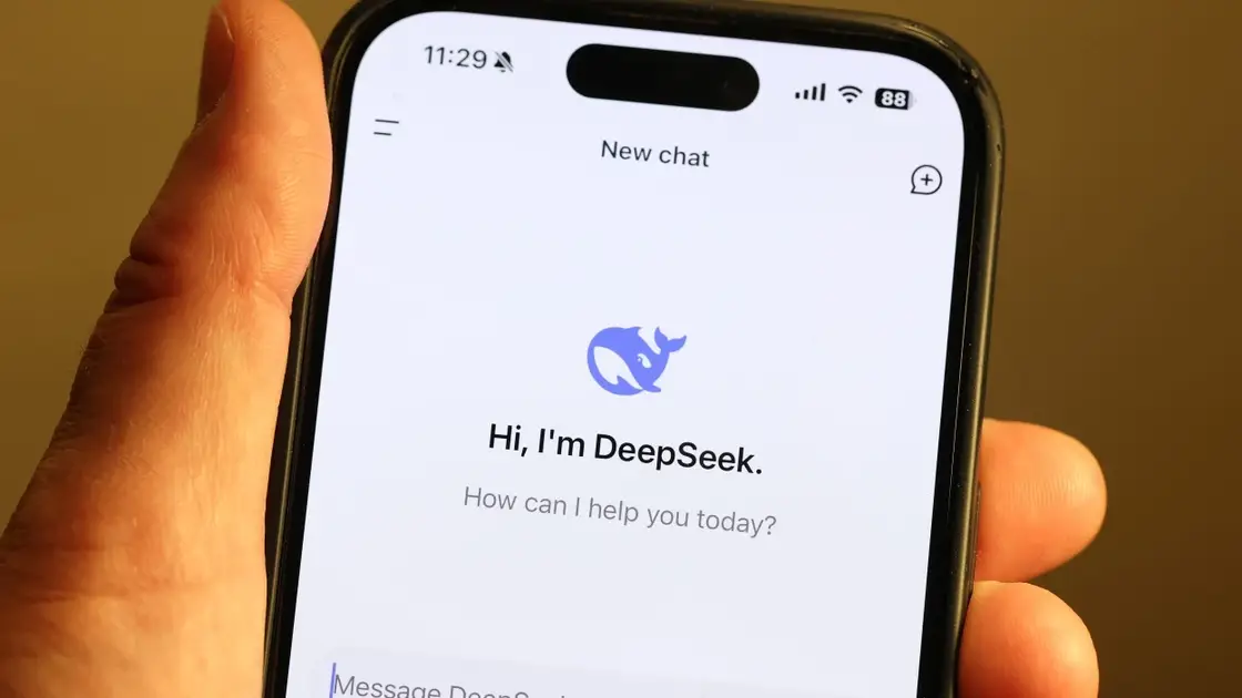 DeepSeek AI Privacy